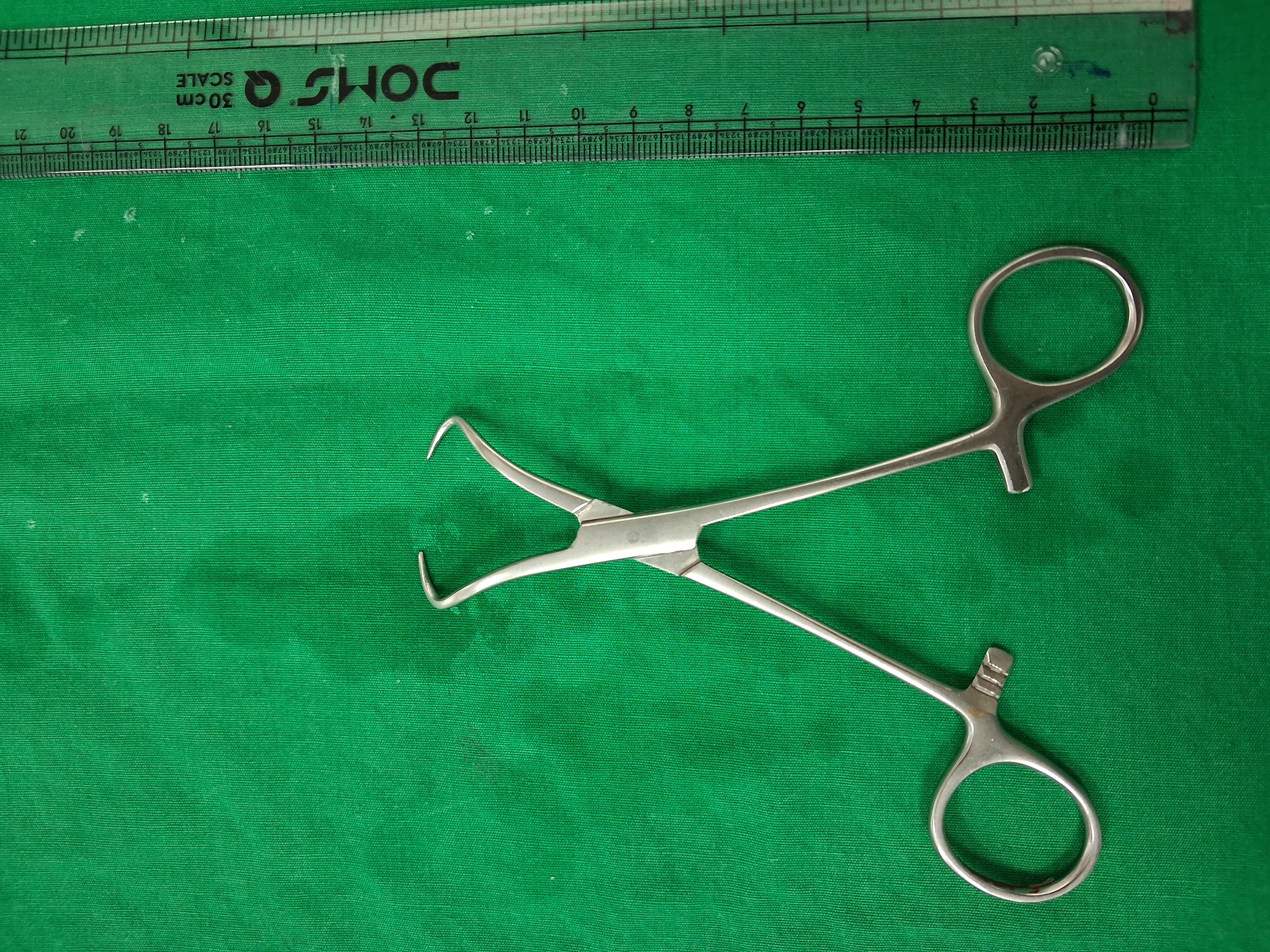 Towel Clip